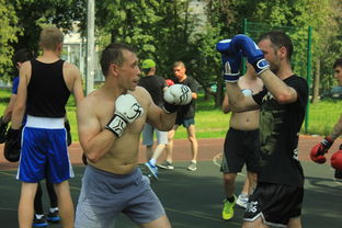 华体会登陆-哈兰德的体能监控数据帮助优化出场计划,哈兰德fm