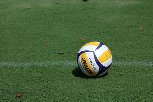 华体会真人体育-好消息！意甲豪门欲签下中国女排当家球星，已在运作或联手埃格努