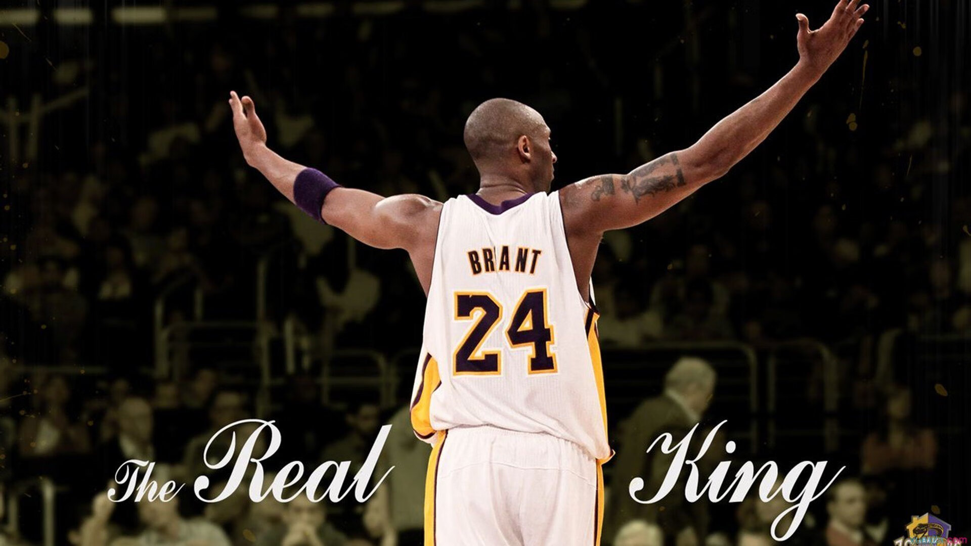 华体会官方-爵士队悄然崛起，季后赛希望升腾，爵士队季后赛名单